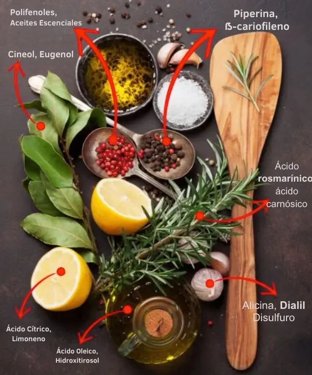 Ingredientes naturales con compuestos activos: c&uacute;rcuma, jengibre, romero, ajo y aceite de oliva